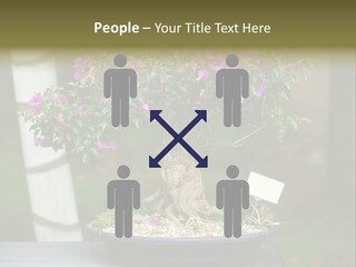 Bonsai Leaf Plant PowerPoint Template