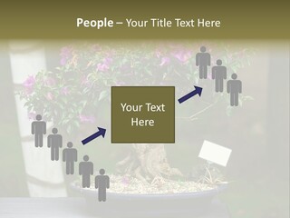 Bonsai Leaf Plant PowerPoint Template