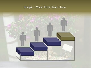 Bonsai Leaf Plant PowerPoint Template