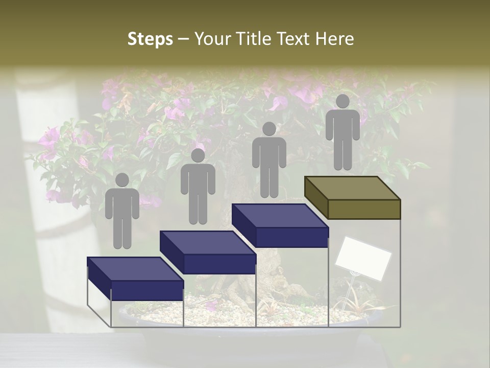 Bonsai Leaf Plant PowerPoint Template