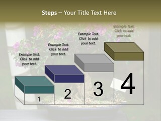 Bonsai Leaf Plant PowerPoint Template