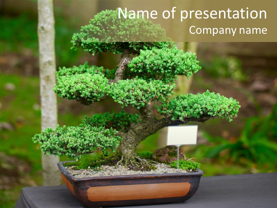 Small Plant Nature PowerPoint Template