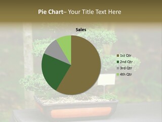 Small Plant Nature PowerPoint Template