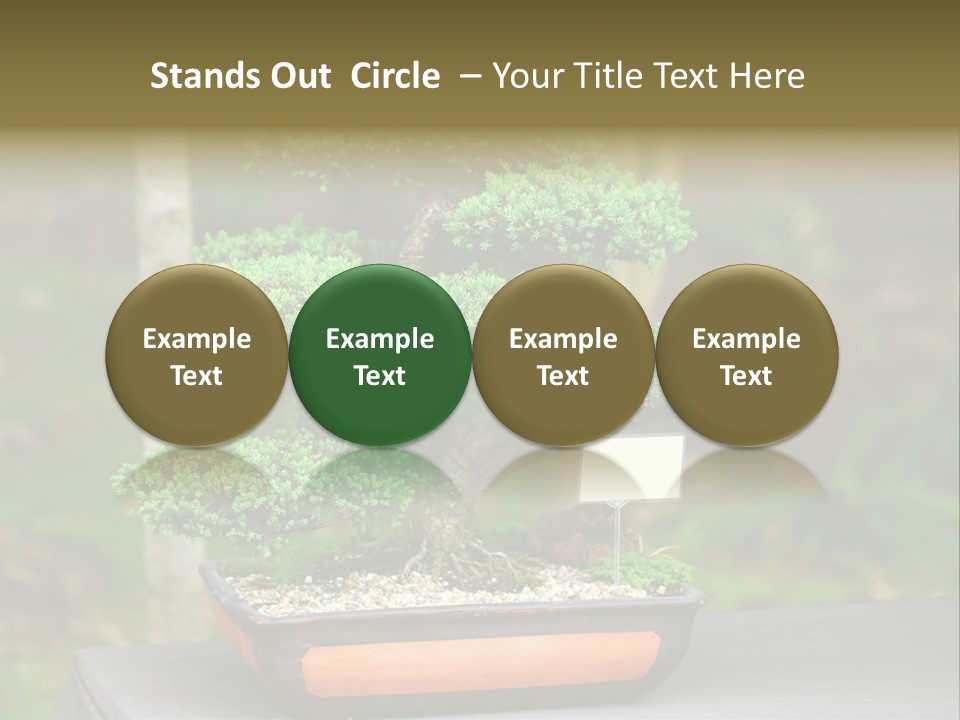 Small Plant Nature PowerPoint Template