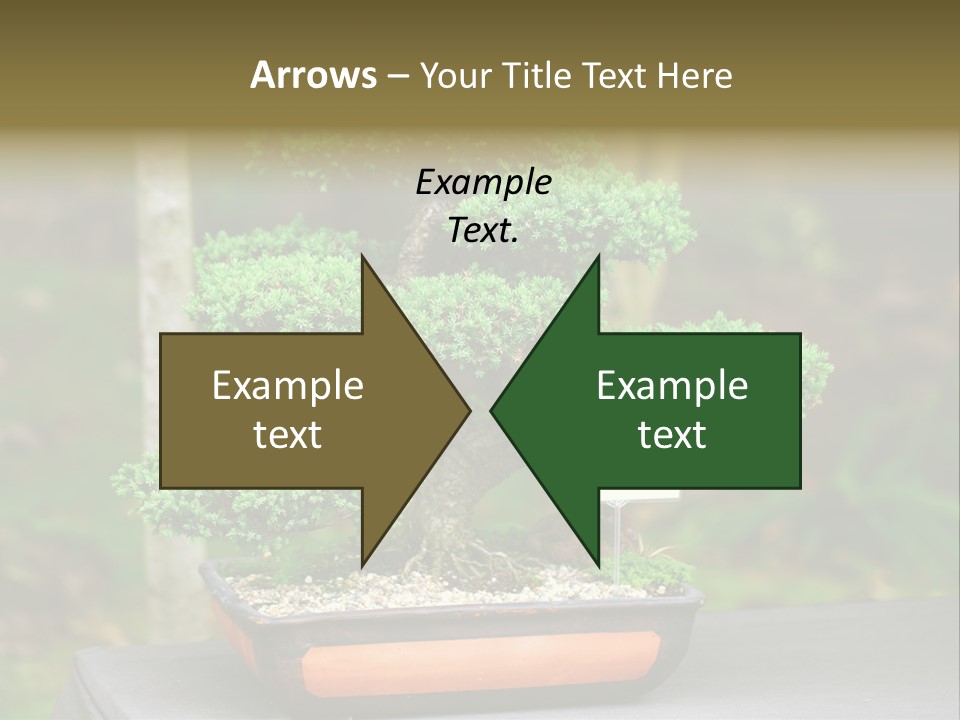 Small Plant Nature PowerPoint Template