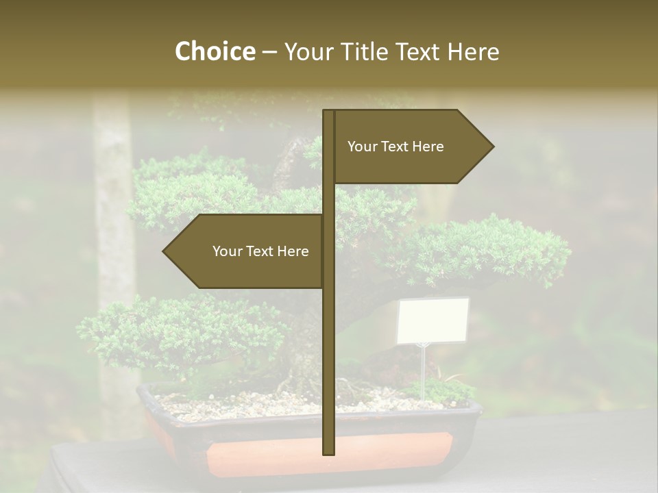 Small Plant Nature PowerPoint Template