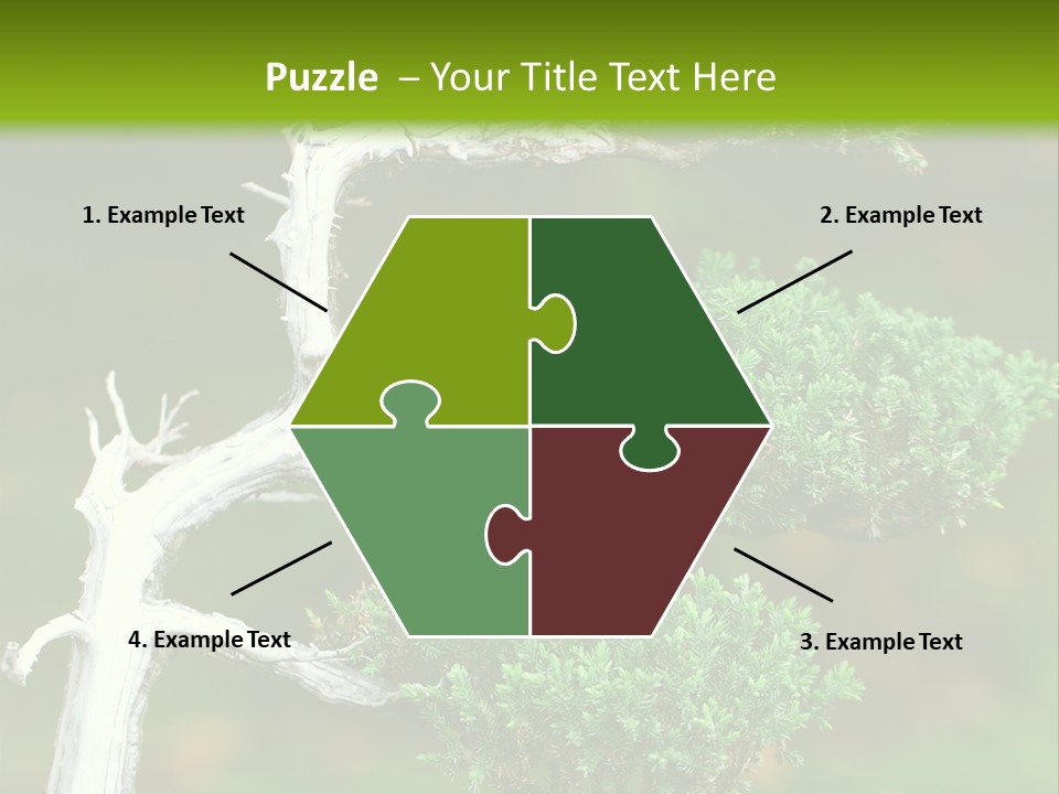 Beautiful Juniper Bonsai In A Garden PowerPoint Template