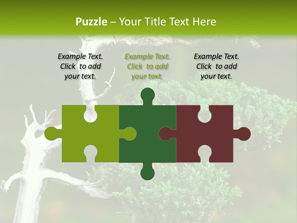 Beautiful Juniper Bonsai In A Garden PowerPoint Template