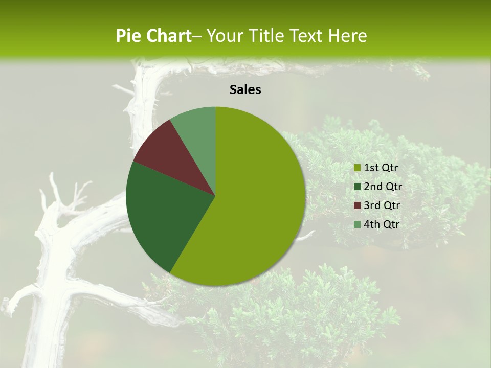 Beautiful Juniper Bonsai In A Garden PowerPoint Template