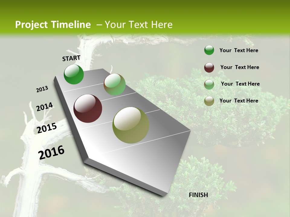 Beautiful Juniper Bonsai In A Garden PowerPoint Template