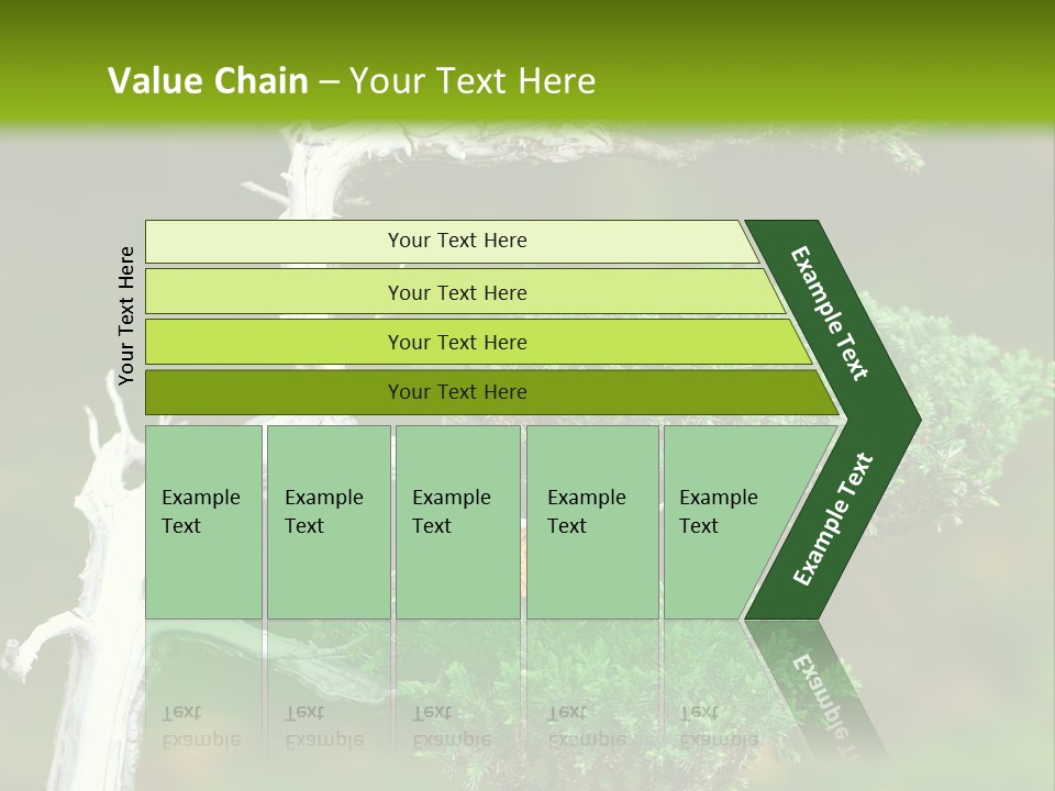Beautiful Juniper Bonsai In A Garden PowerPoint Template