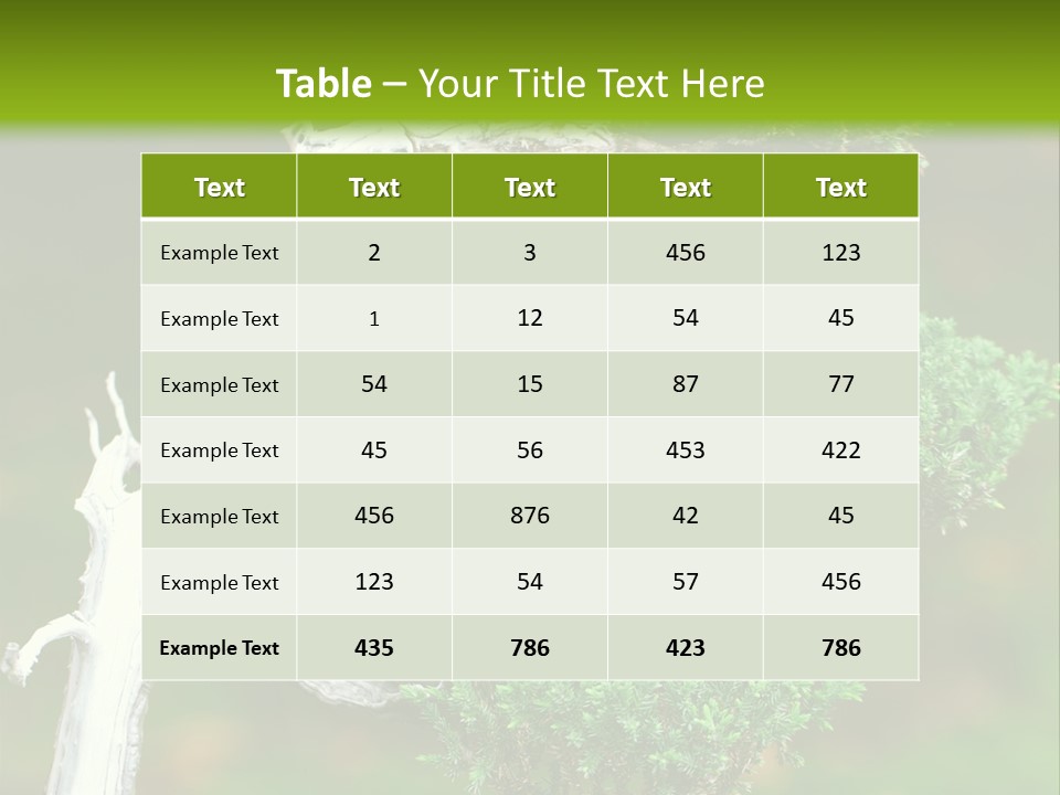 Beautiful Juniper Bonsai In A Garden PowerPoint Template