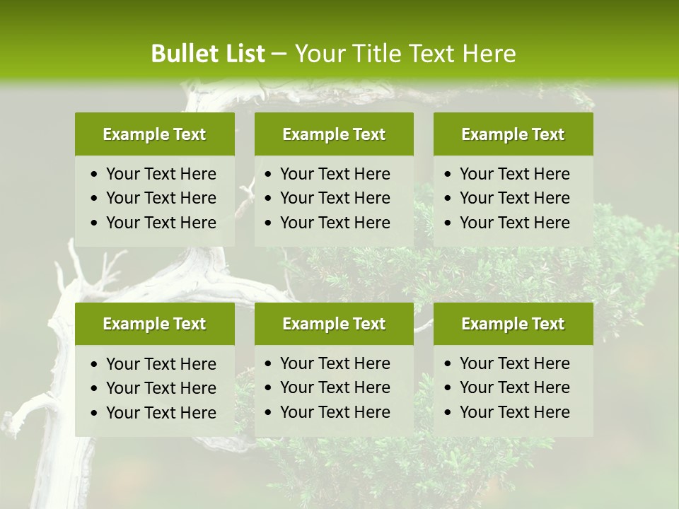 Beautiful Juniper Bonsai In A Garden PowerPoint Template