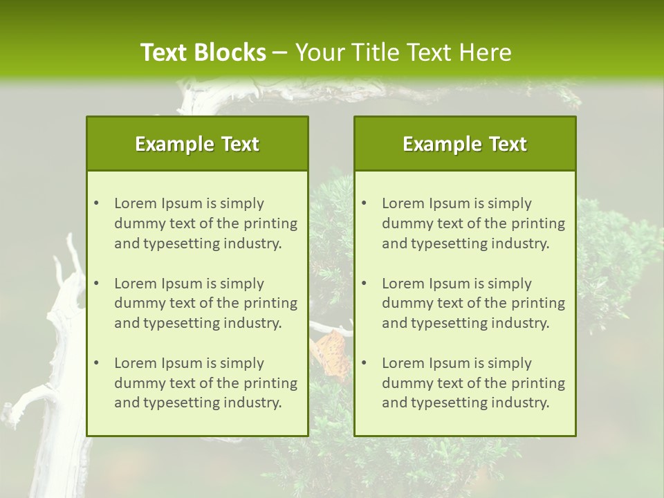 Beautiful Juniper Bonsai In A Garden PowerPoint Template
