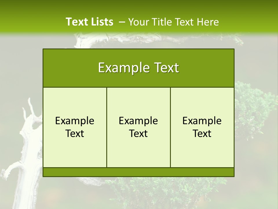 Beautiful Juniper Bonsai In A Garden PowerPoint Template