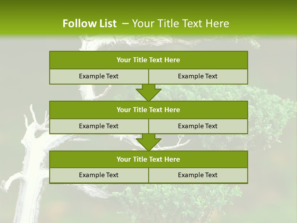 Beautiful Juniper Bonsai In A Garden PowerPoint Template