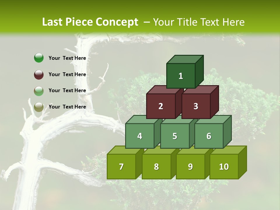 Beautiful Juniper Bonsai In A Garden PowerPoint Template