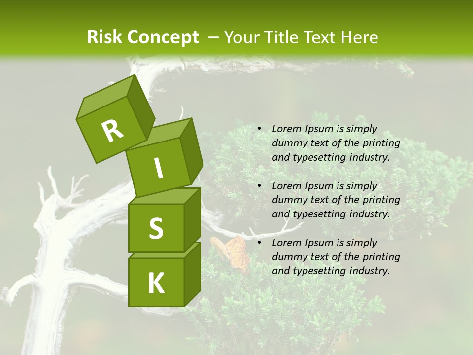 Beautiful Juniper Bonsai In A Garden PowerPoint Template