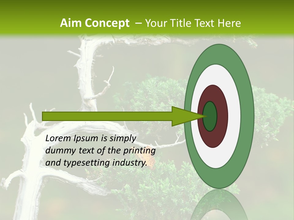 Beautiful Juniper Bonsai In A Garden PowerPoint Template