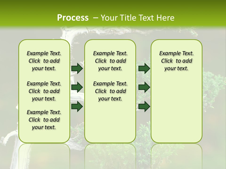 Beautiful Juniper Bonsai In A Garden PowerPoint Template