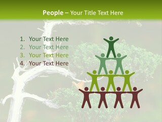 Beautiful Juniper Bonsai In A Garden PowerPoint Template