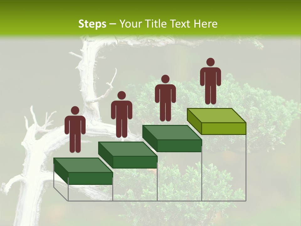Beautiful Juniper Bonsai In A Garden PowerPoint Template