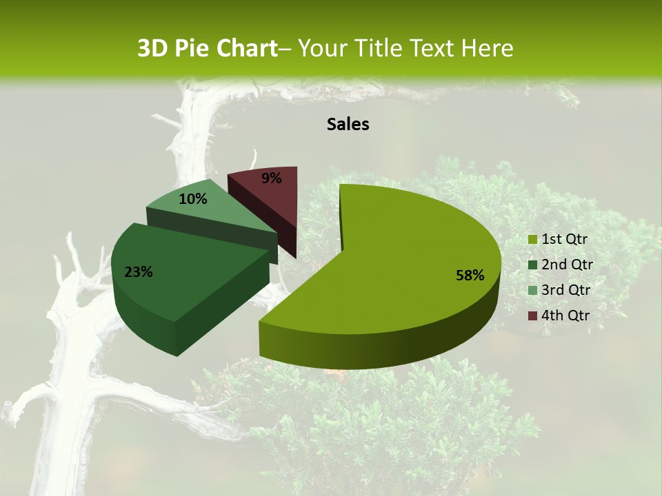 Beautiful Juniper Bonsai In A Garden PowerPoint Template