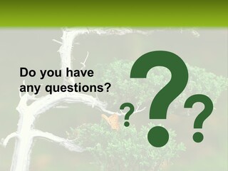 Beautiful Juniper Bonsai In A Garden PowerPoint Template