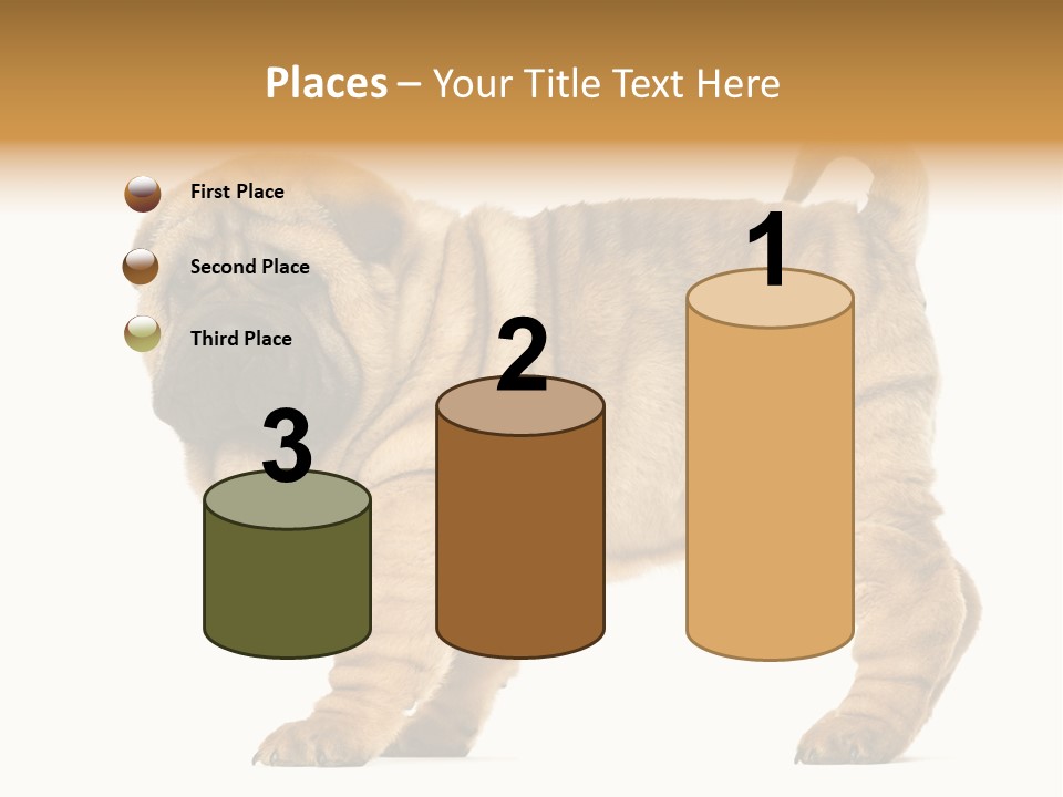 Side View Of Shar Pei Puppy PowerPoint Template
