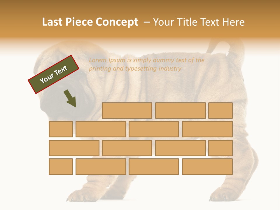 Side View Of Shar Pei Puppy PowerPoint Template