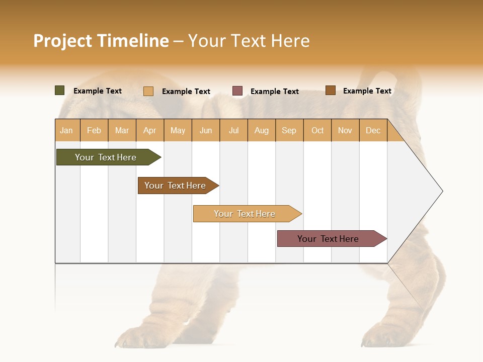 Side View Of Shar Pei Puppy PowerPoint Template