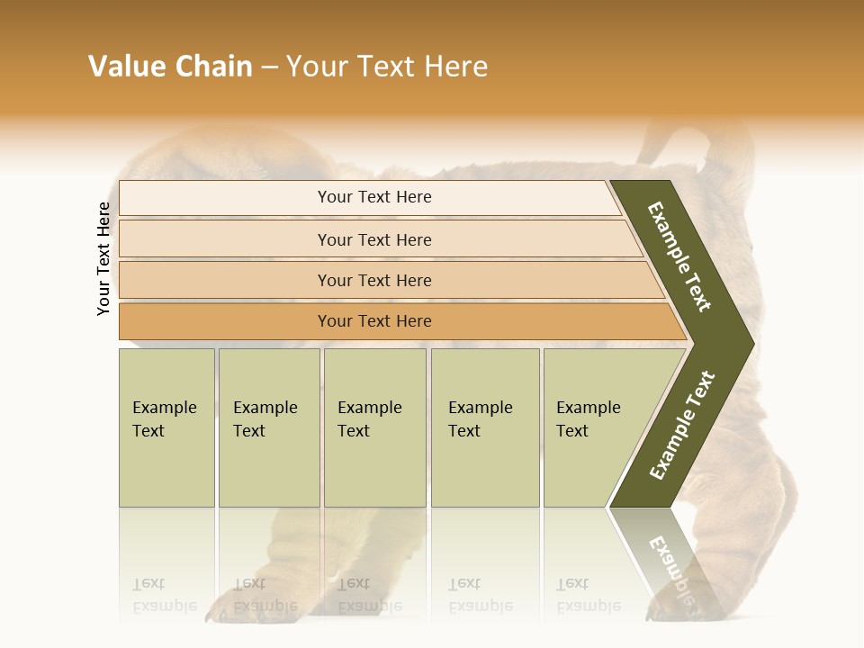 Side View Of Shar Pei Puppy PowerPoint Template