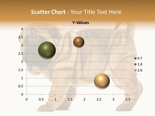 Side View Of Shar Pei Puppy PowerPoint Template