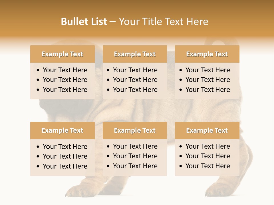 Side View Of Shar Pei Puppy PowerPoint Template