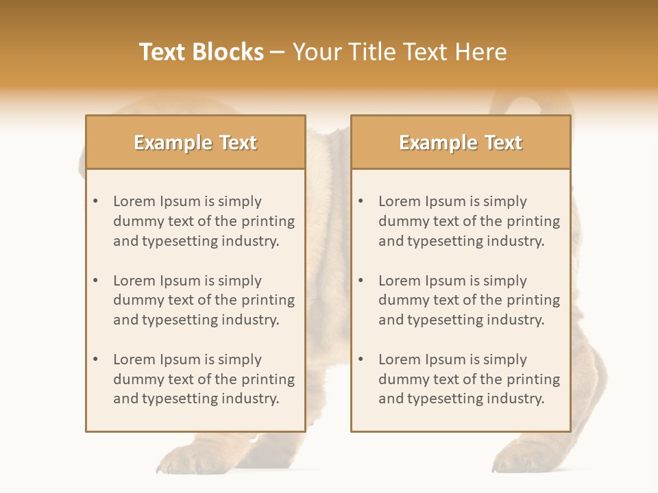 Side View Of Shar Pei Puppy PowerPoint Template