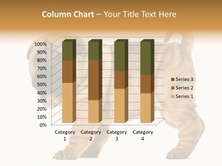 Side View Of Shar Pei Puppy PowerPoint Template