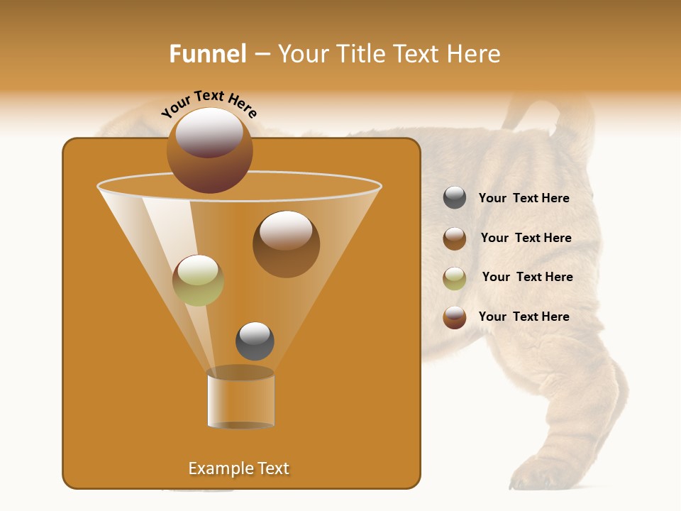 Side View Of Shar Pei Puppy PowerPoint Template