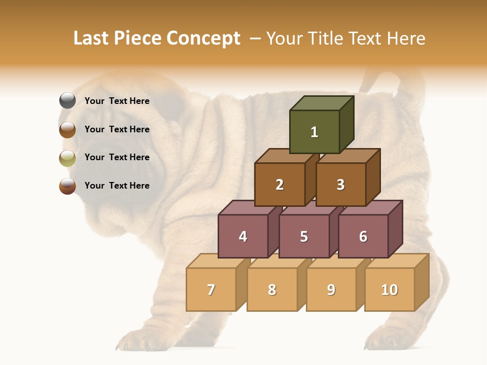 Side View Of Shar Pei Puppy PowerPoint Template