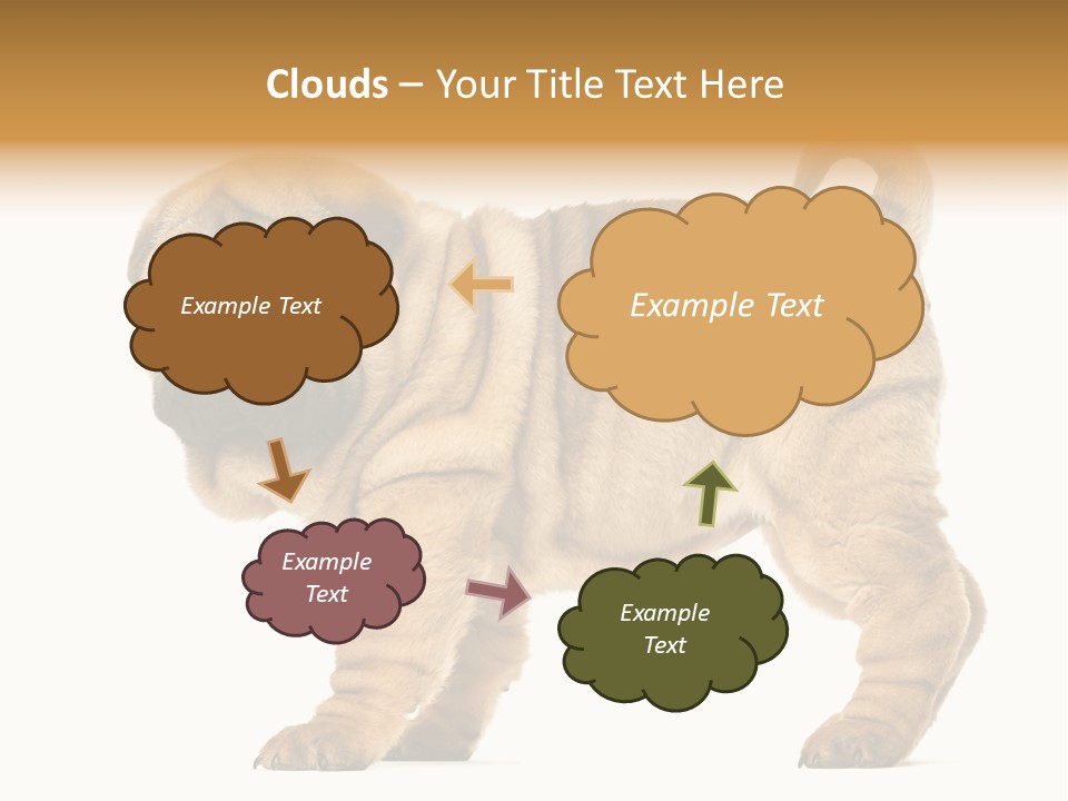 Side View Of Shar Pei Puppy PowerPoint Template