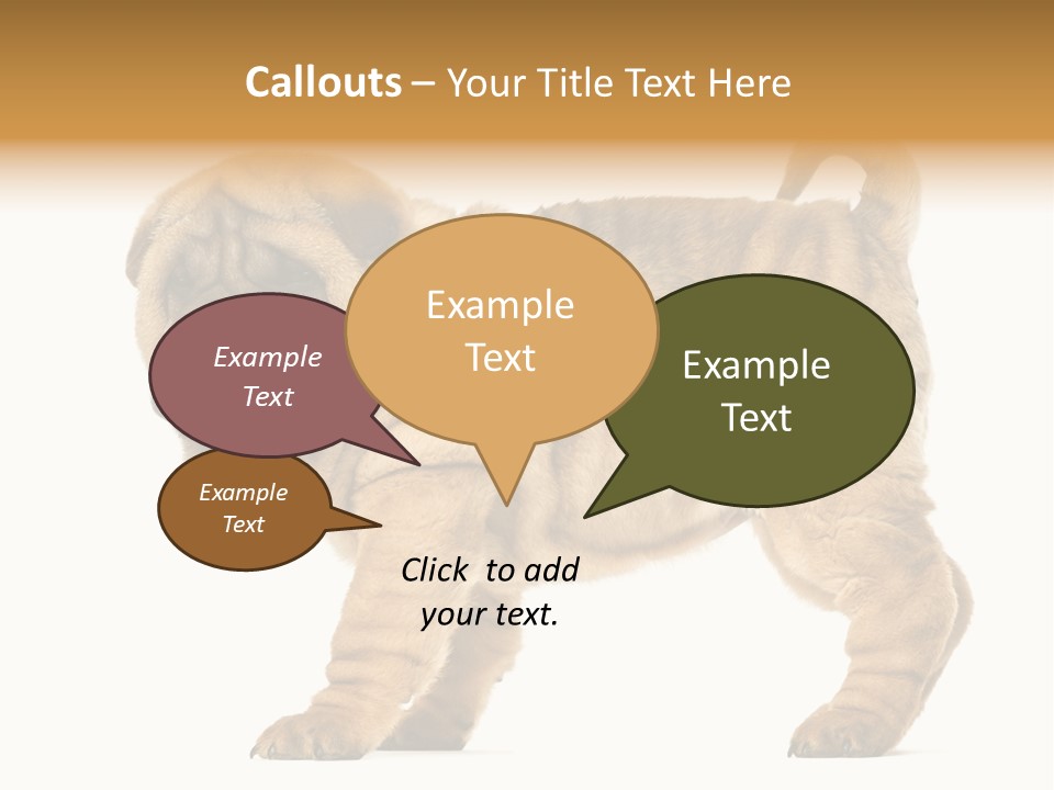 Side View Of Shar Pei Puppy PowerPoint Template