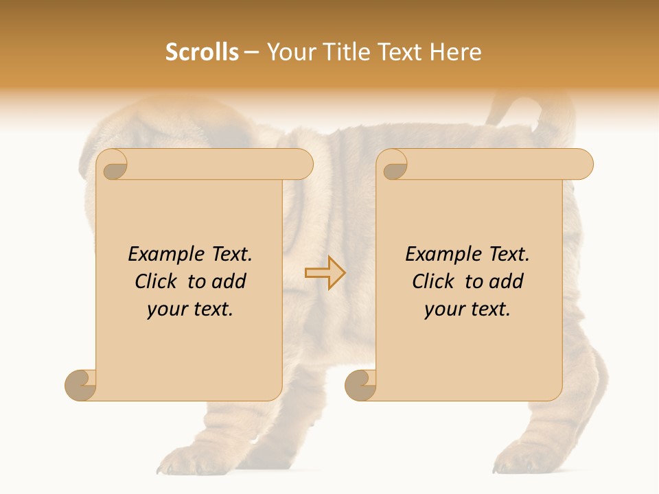 Side View Of Shar Pei Puppy PowerPoint Template