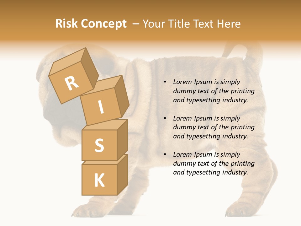 Side View Of Shar Pei Puppy PowerPoint Template