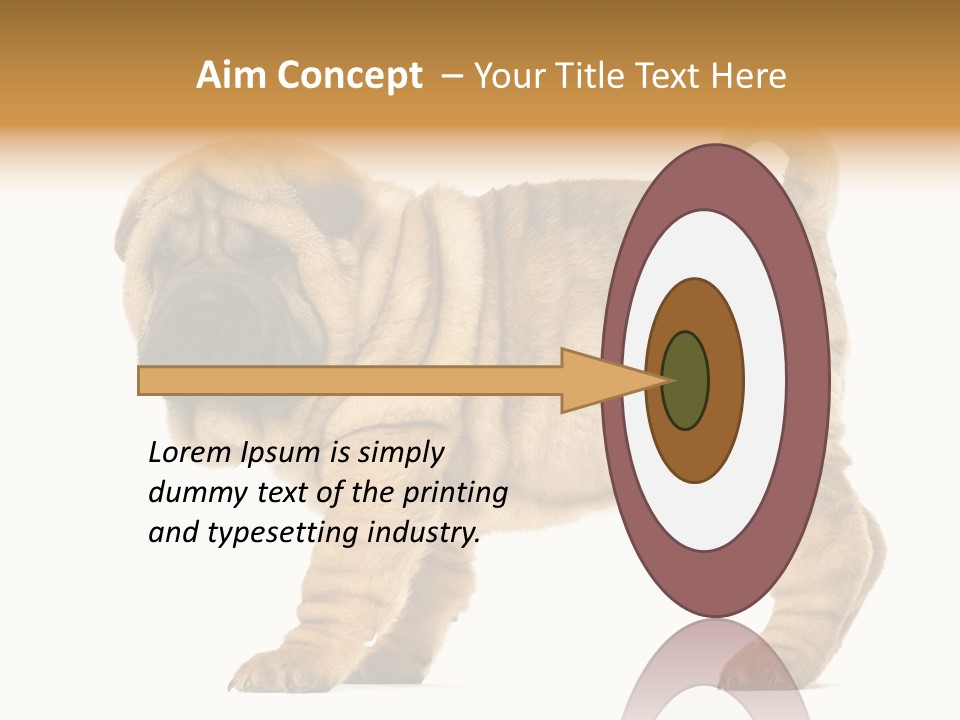 Side View Of Shar Pei Puppy PowerPoint Template