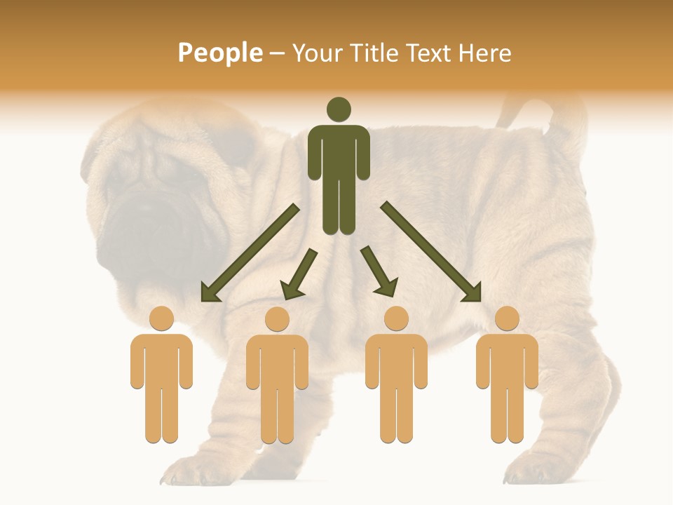 Side View Of Shar Pei Puppy PowerPoint Template