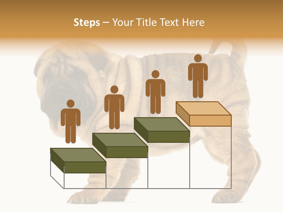 Side View Of Shar Pei Puppy PowerPoint Template