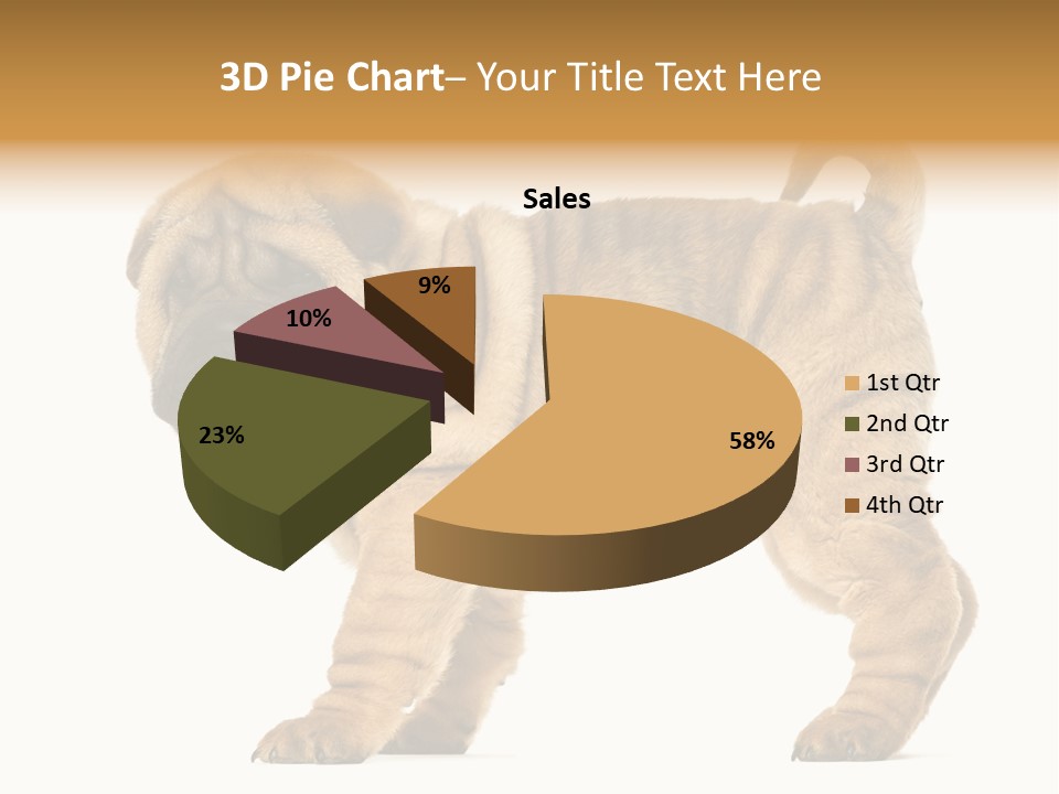 Side View Of Shar Pei Puppy PowerPoint Template