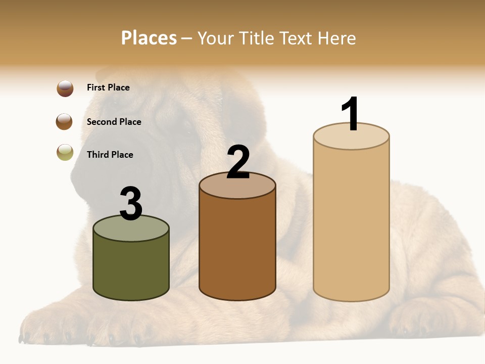 Shar Pei Puppy Lying Down PowerPoint Template