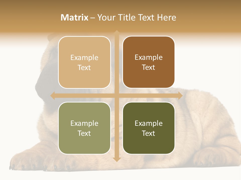 Shar Pei Puppy Lying Down PowerPoint Template