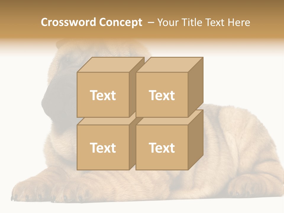 Shar Pei Puppy Lying Down PowerPoint Template