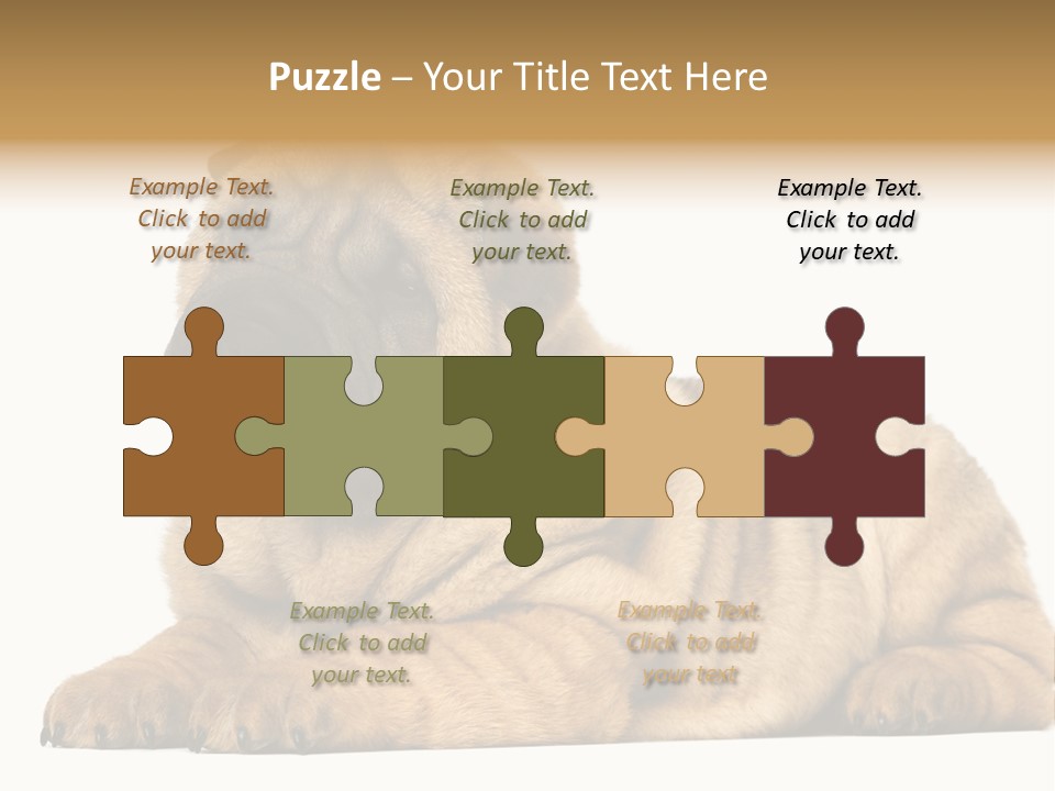 Shar Pei Puppy Lying Down PowerPoint Template
